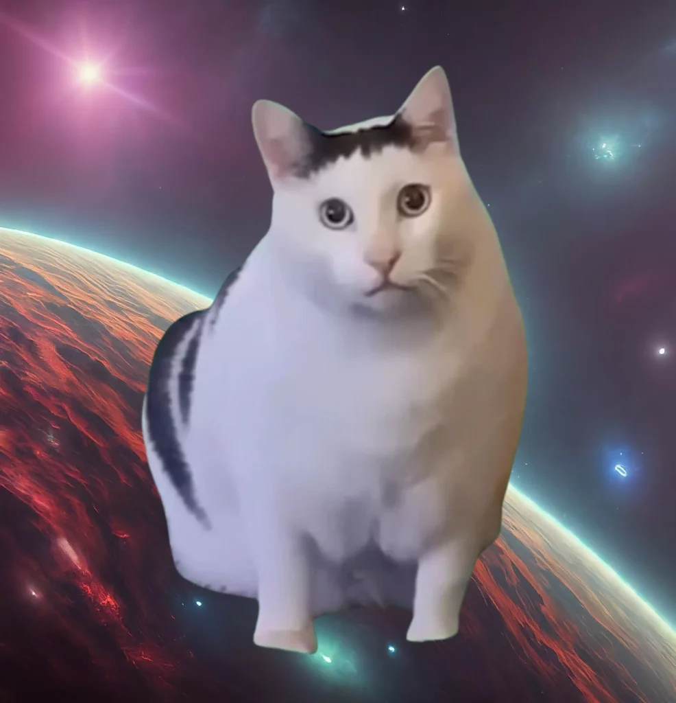 は？猫のミーム宇宙タイプ