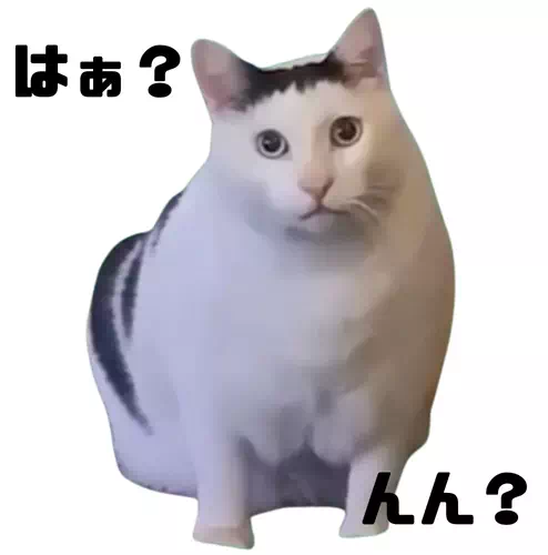 猫のミームはぁ？