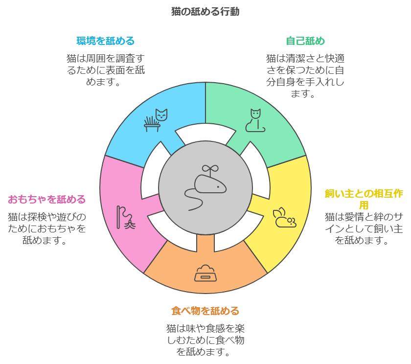 猫が舐めるものはどんなもの？