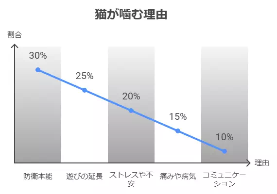 猫が噛む理由