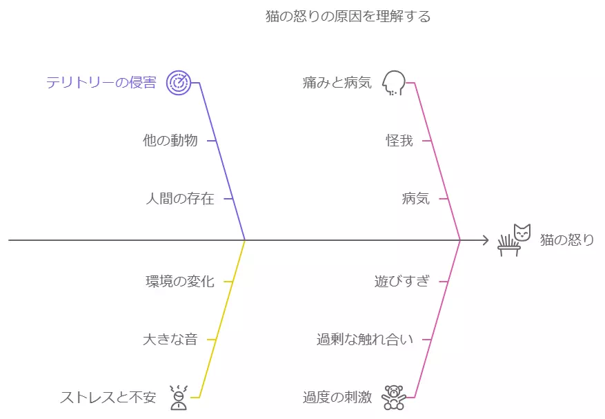 猫が怒る理由