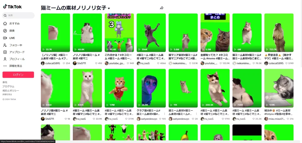 猫ミームノリノリ女子