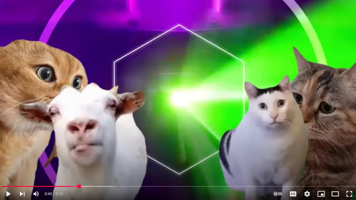 猫ミームがEDM化ｗ曲名や元ネタを解説！猫の爆笑ダンスリミックス