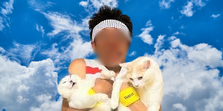 サンシャイン池崎が猫おじさんになった理由とは？歴代愛猫物語