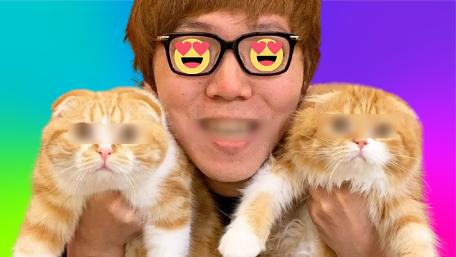ヒカキンペットの猫種類大研究！愛猫家必見の特徴と魅力