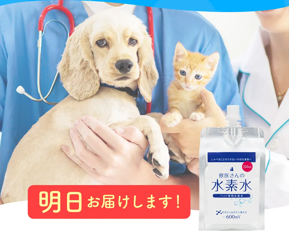 獣医さんの水素水の口コミ・評判！公式サイトやどこで買えるかも解説