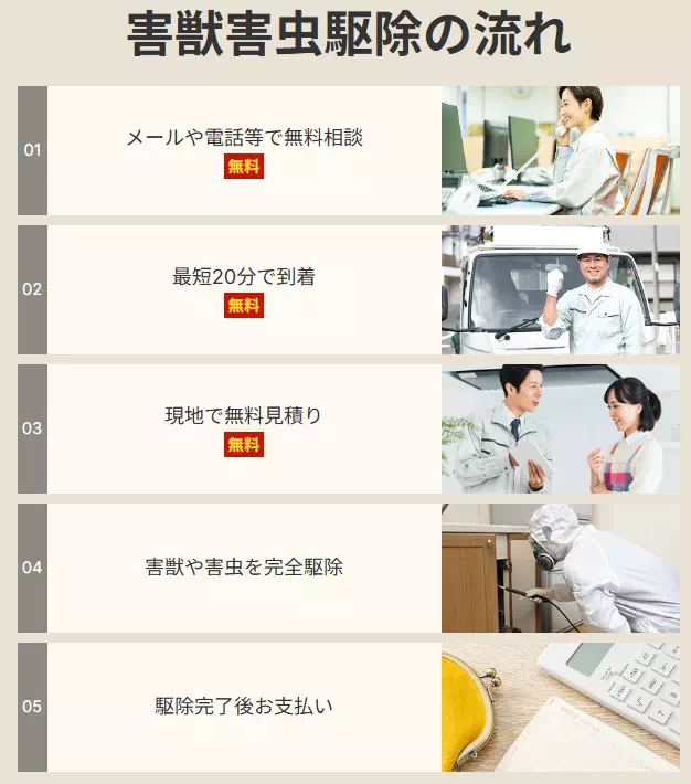 駆除の流れを解説