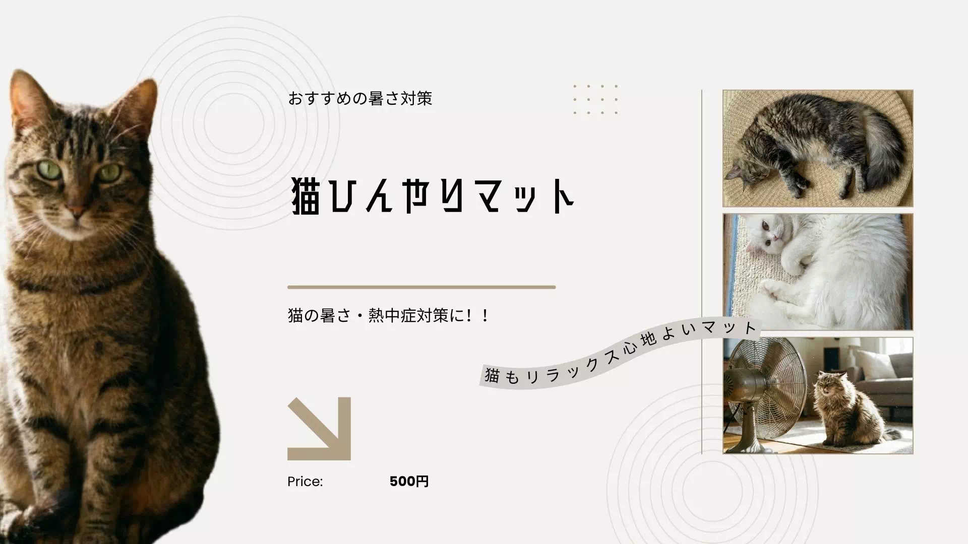 猫がひんやりマットに乗らない理由！大理石やアルミ等で本気の対策